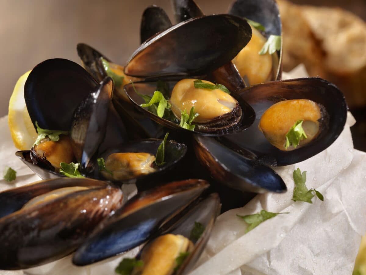 Mussels Sams And Clams Coopers Seafood House