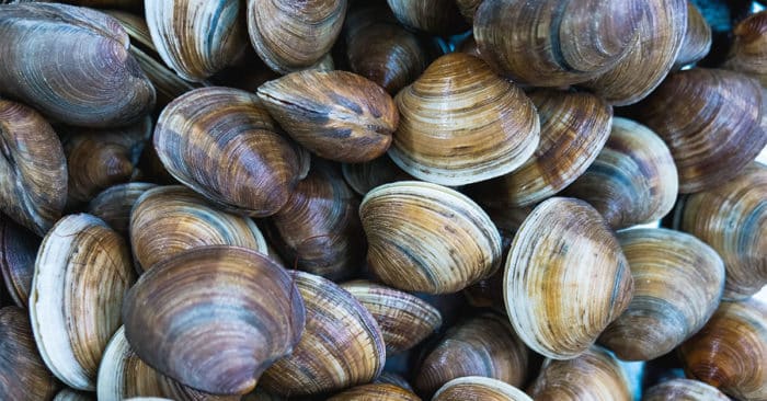 How to Cook or Steam Clams at Home